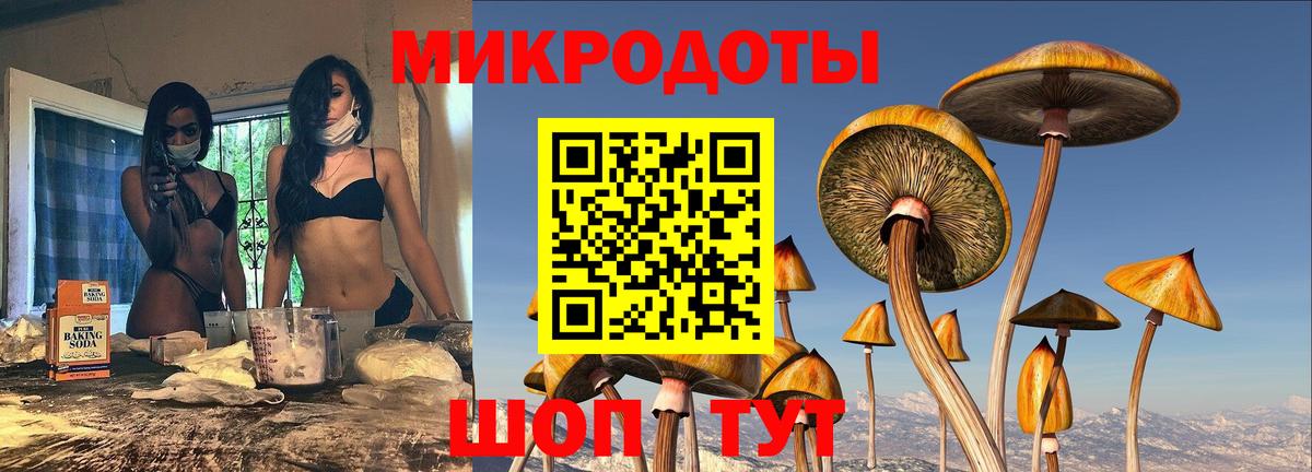 Карачаевск  Галлюциногенные грибы ЛСД  Вход с VPN  Псилоцибиновые грибы мицелий 