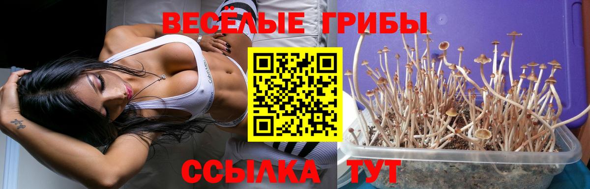Псилоцибиновые грибы ЛСД Карачаевск